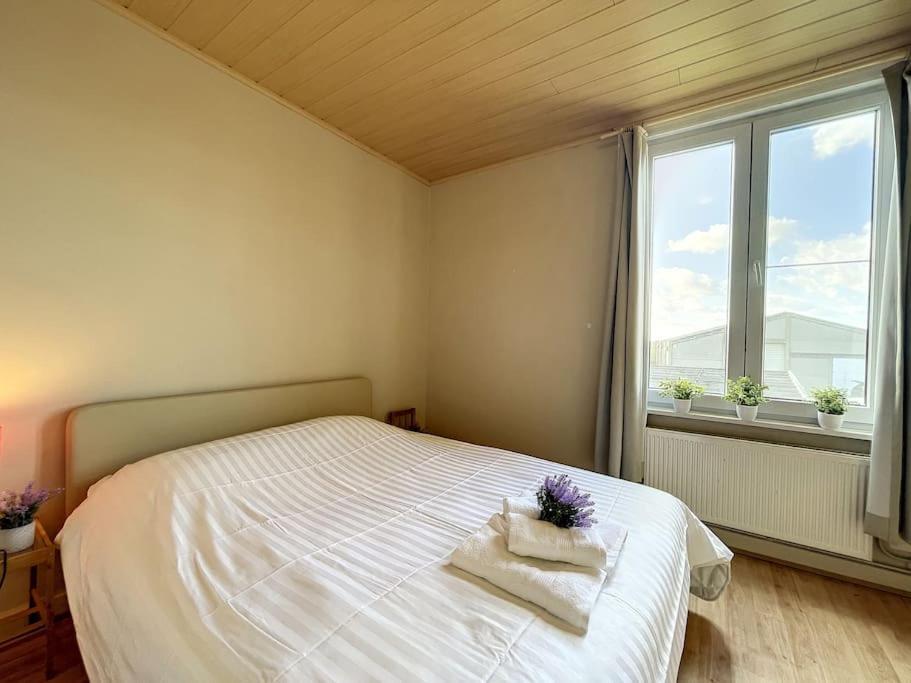 Vakantiehuis Sungarden *