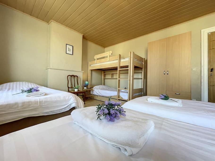 Vakantiehuis Sungarden *